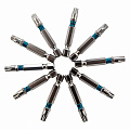 Набор бит TORX 30х50, сталь S2, 10 шт.// Gross Набор бит TORX 30х50, сталь S2, 10 шт.// Gross